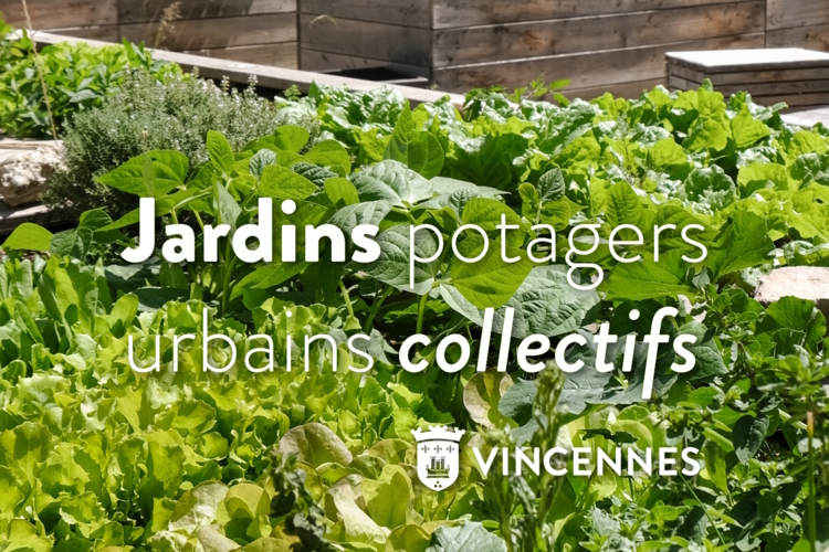 image_jardins_potagers.jpg